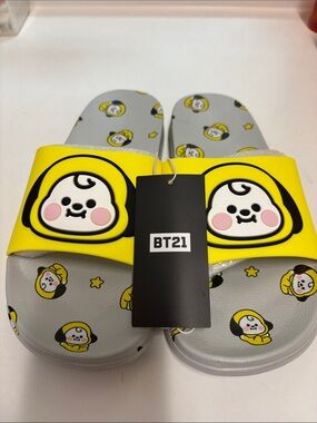 BT21 adult slides